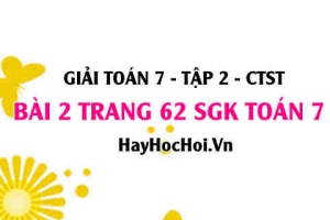 Giải bài 2 trang 62 Toán 7 tập 2 SGK Chân trời sáng tạo